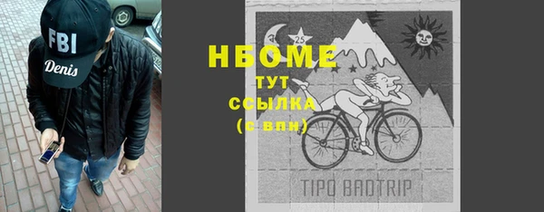 эйфоретик Баксан
