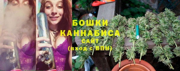 эйфоретик Баксан
